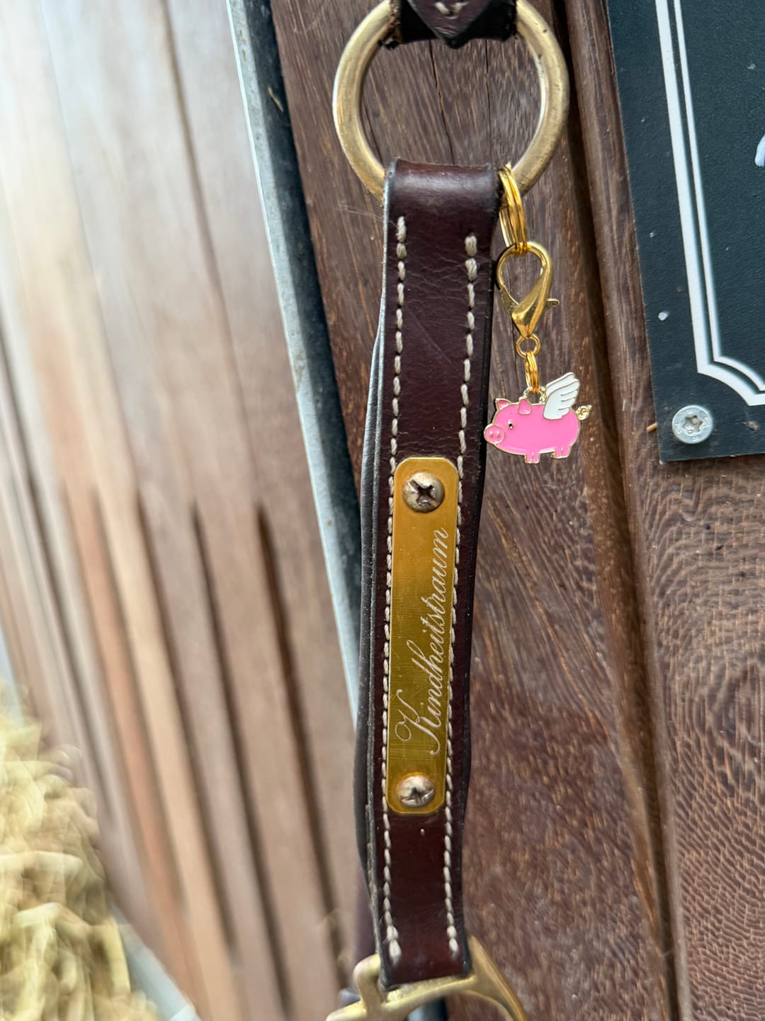 Customer photo review of FLY HIGH PIGGY Charm