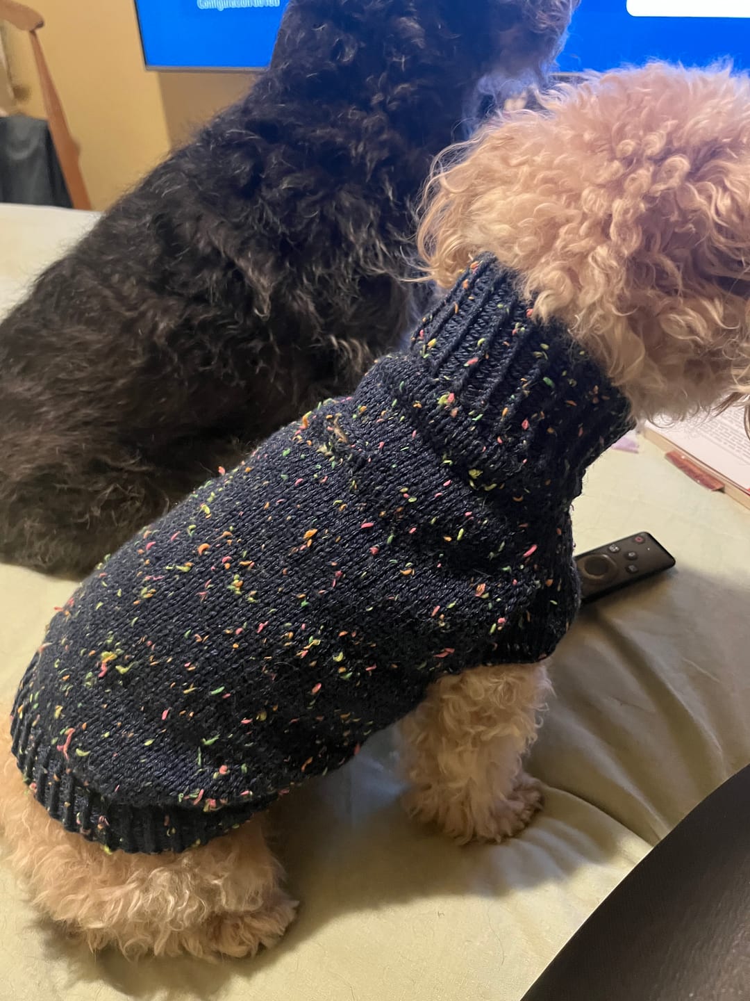 Customer photo review of Merino DK tweed flúor azul marino 936