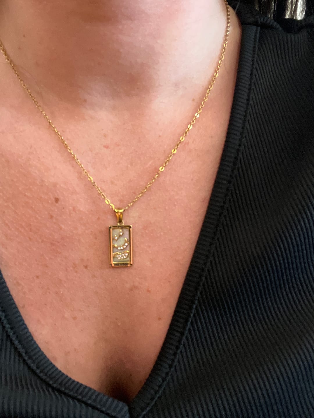 Customer photo review of Golden Fortune Necklace (Bundle)