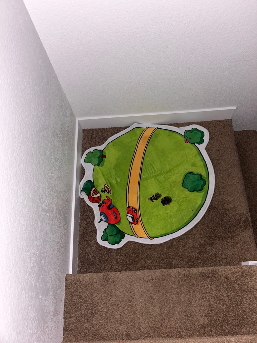 Customer photo review of Dragon Ball King Kai’s Planet Rug