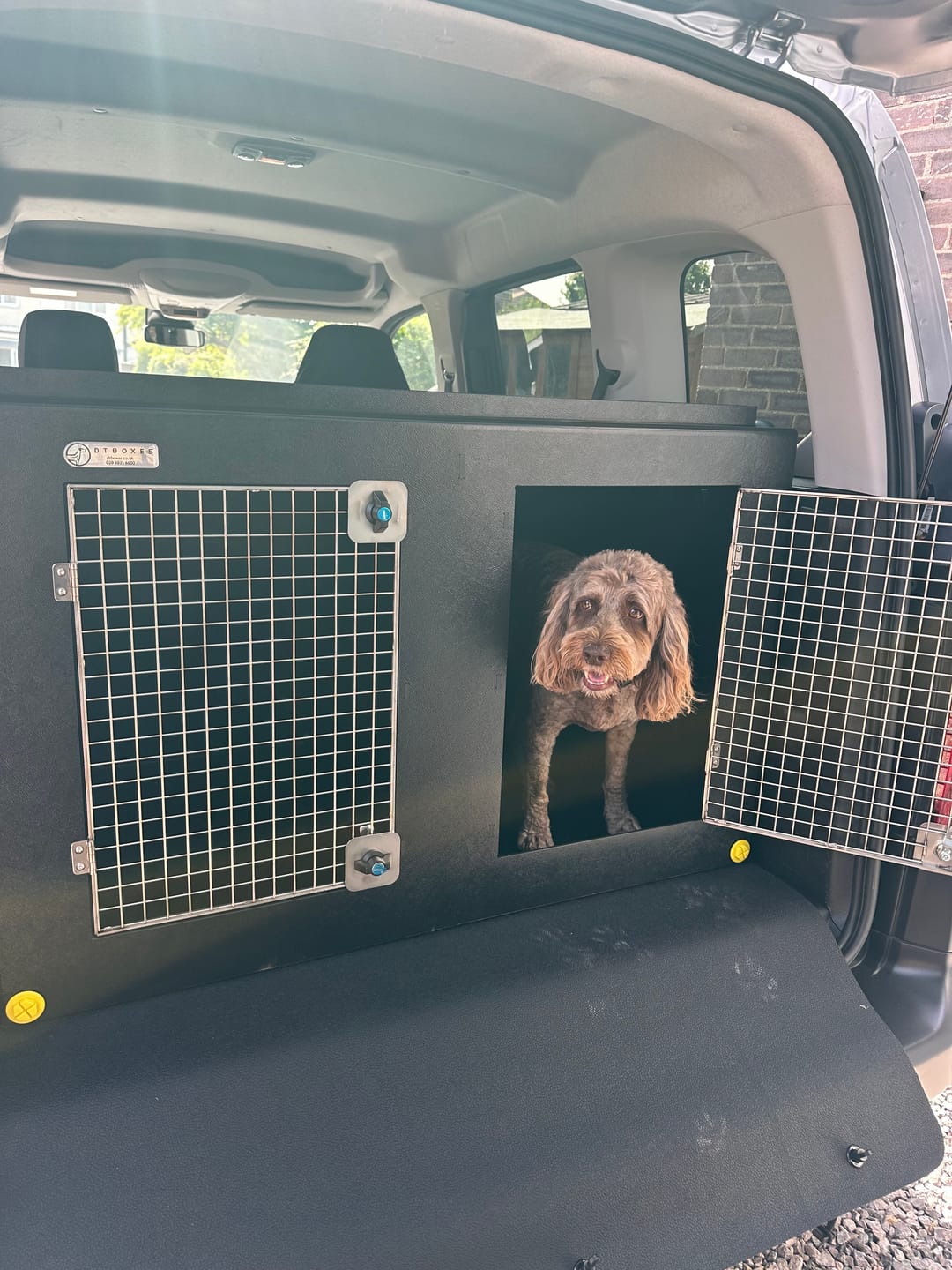 Customer photo review of Citroen e-Berlingo/ Peugeot e-Rifter | 2018–present | Dog Travel Crate | The DT 12