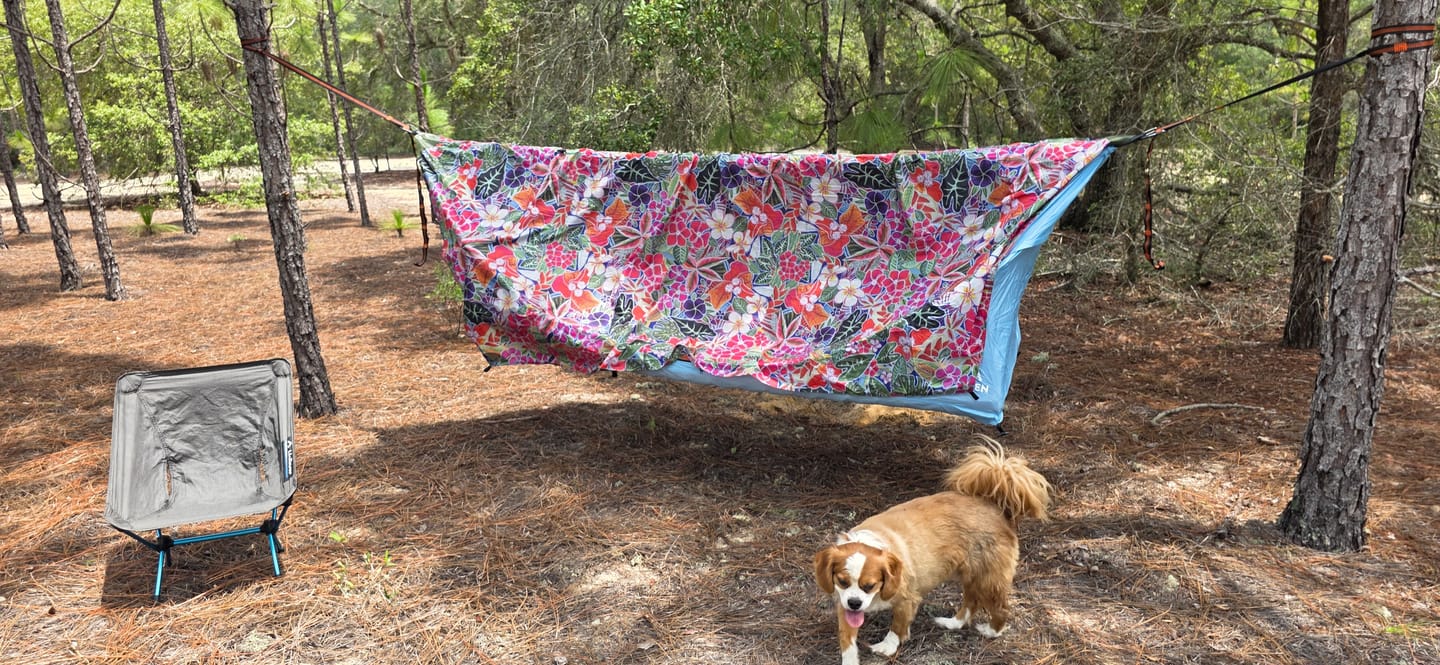Customer photo review of Haven Tent Rainfly