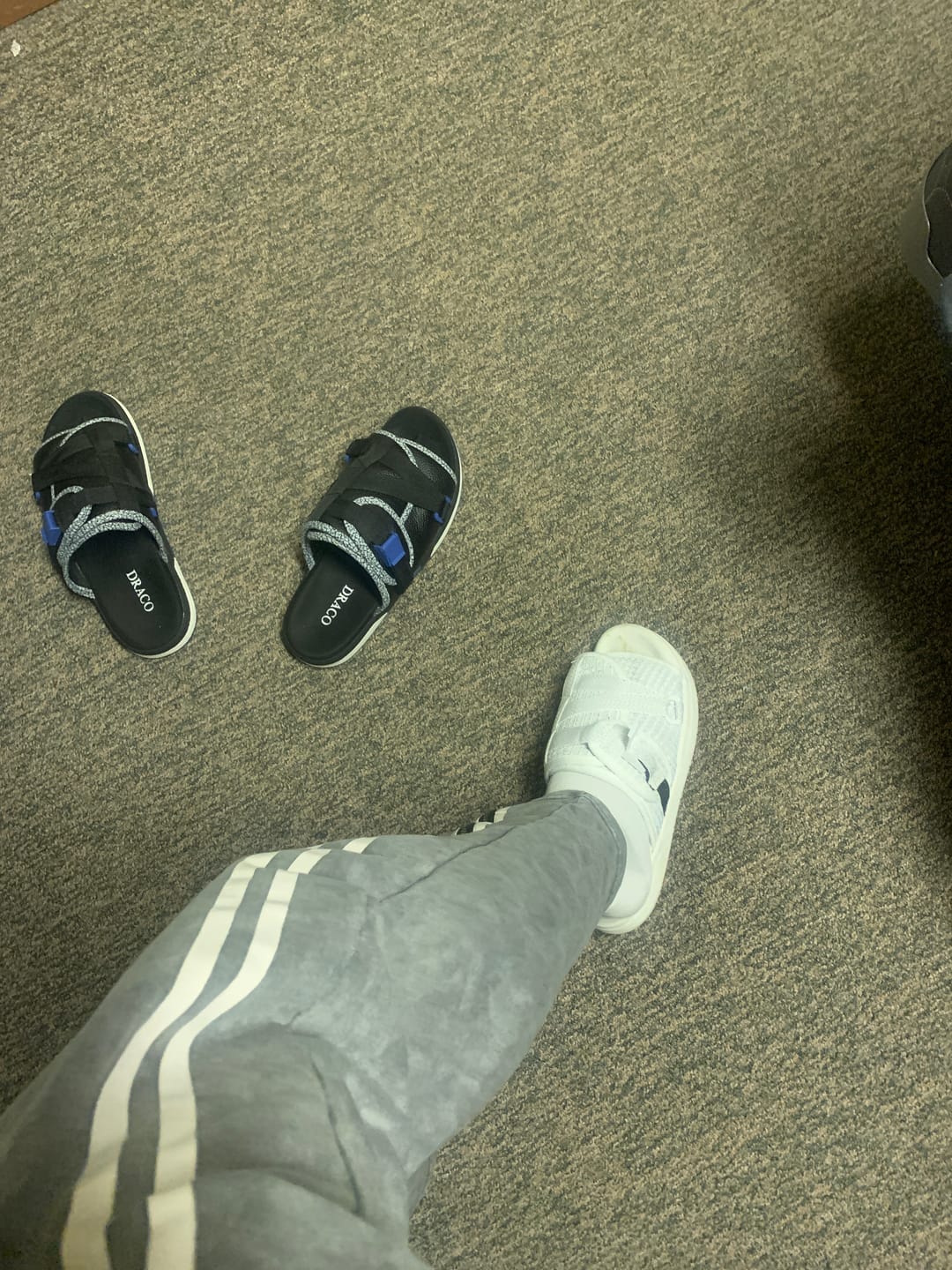 Customer photo review of Mystery DracoSlides