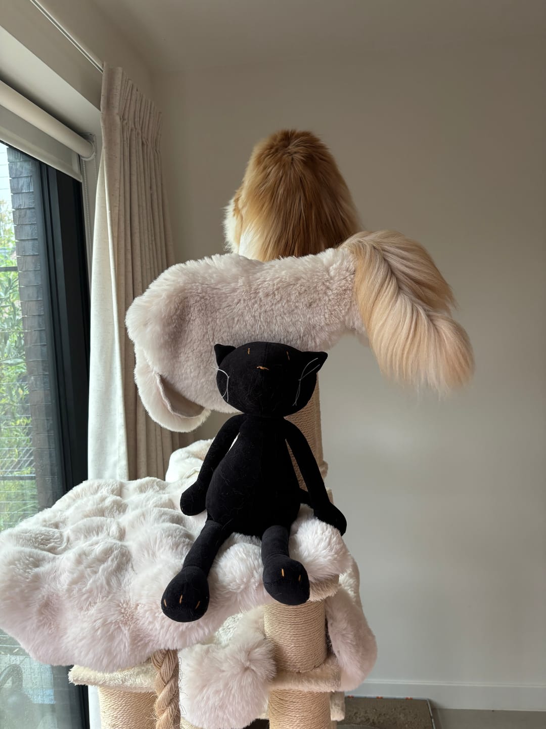Customer photo review of GISEL LA CHATTE - L