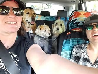 Customer photo review of DOG CAR SEAT COVER