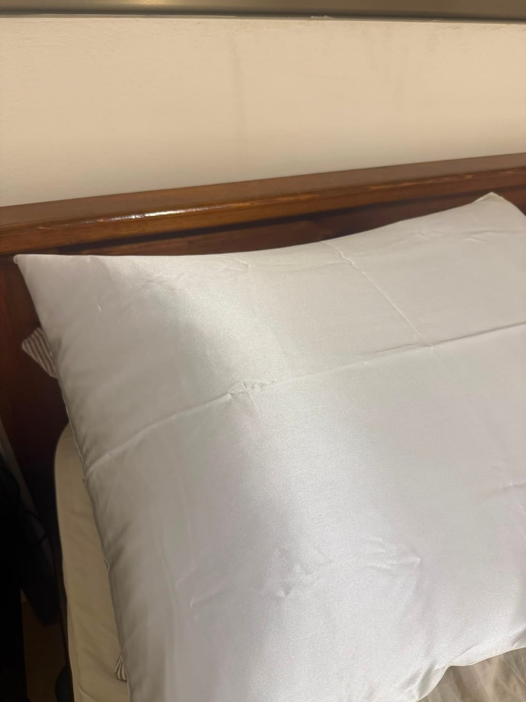 Customer photo review of ציפית משי 22Momme - בז׳