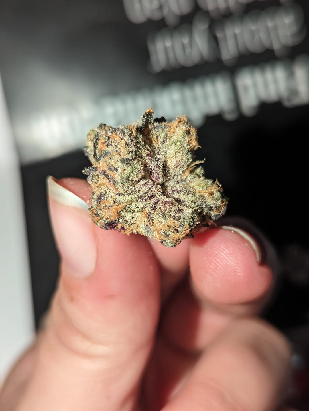 Customer photo review of Super Boof | THCA Flower