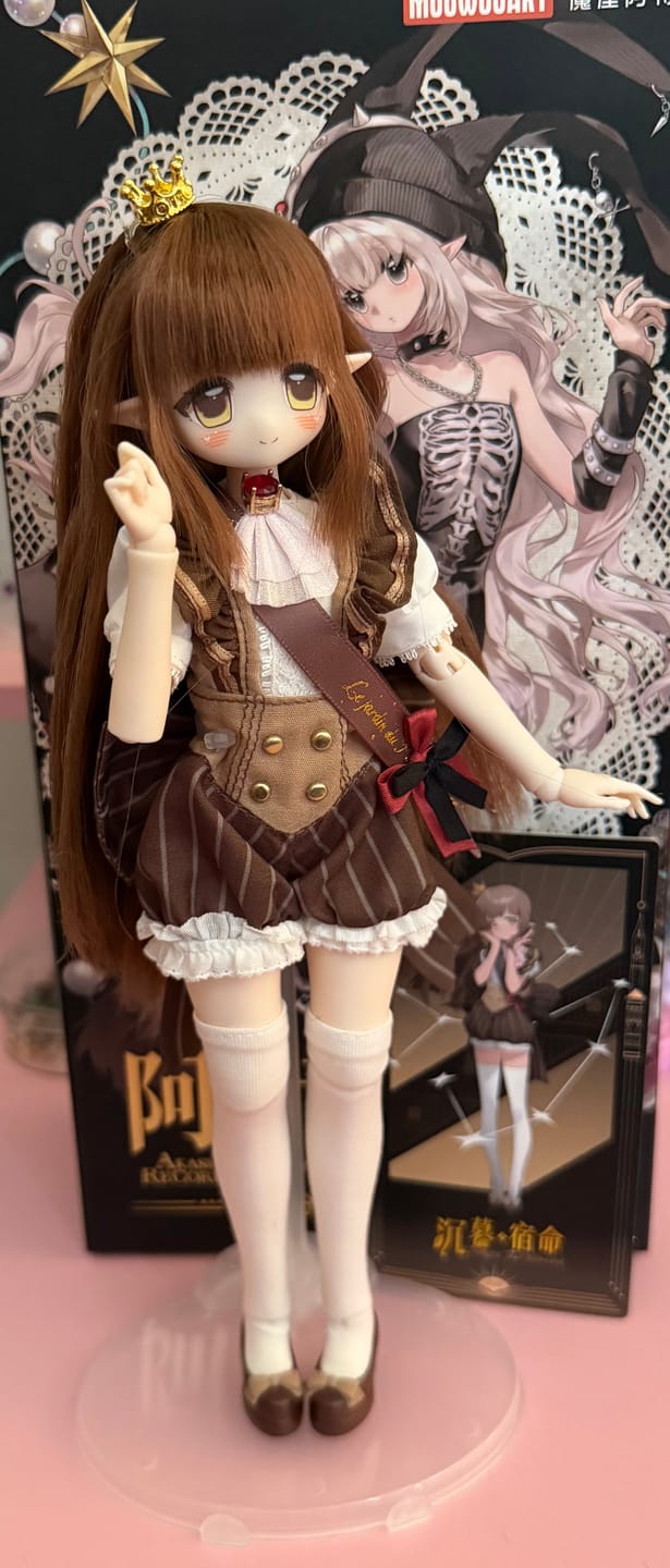 Customer photo review of Akashic Records Series Special 1/6 Action Figure BJD Blind Box