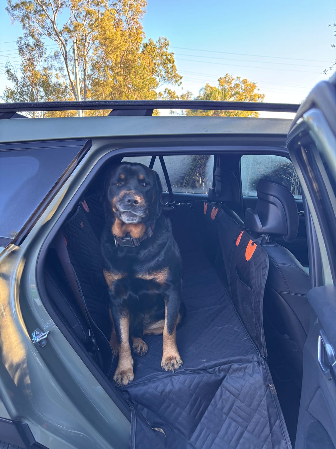 Customer photo review of Companion&Co™ CalmDrive Travel System