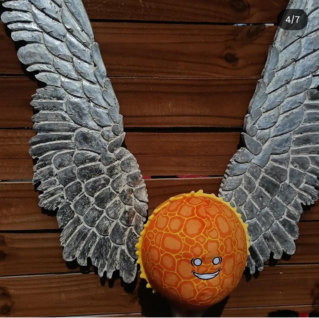 Customer photo review of The SolarBalls Sun Plush