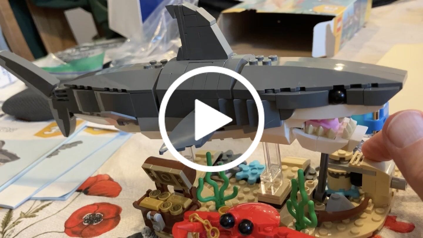 Customer video review of Swimming Fierce Shark