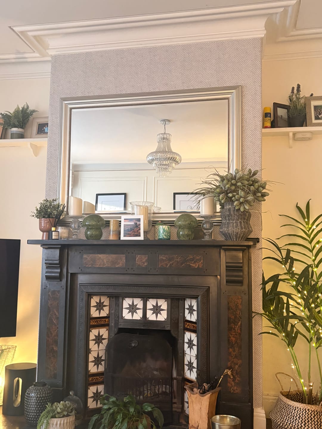 Customer photo review of Alfred