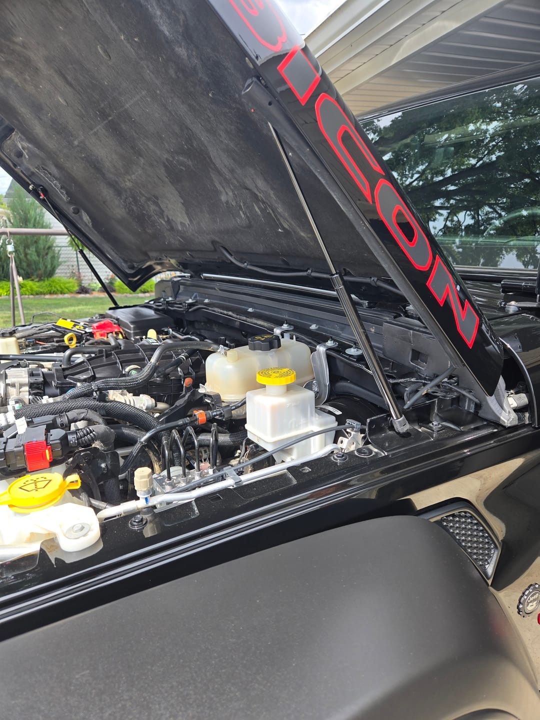 Customer photo review of Beefy Hydraulic Hood QuickLift for JL & JT