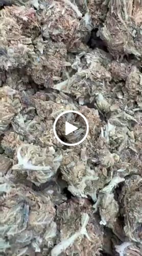 Good Day - Pink Runtz - 14 Grams - Hybrid photo review