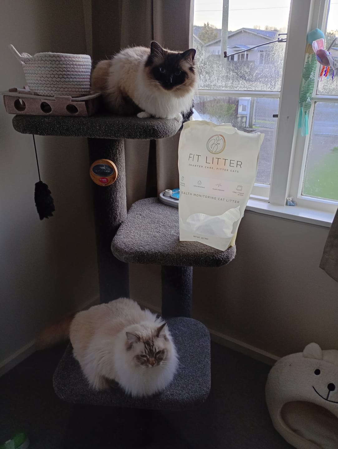 Customer photo review of Fit Litter
