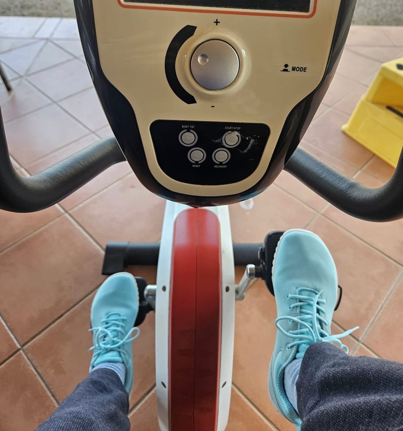 Customer photo review of Wish Ⅰ - Barefoot Shoes
