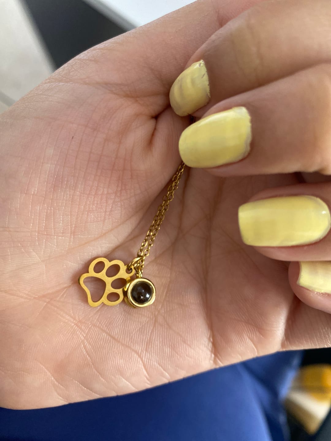 Customer photo review of Collar de Proyección Forever Paw