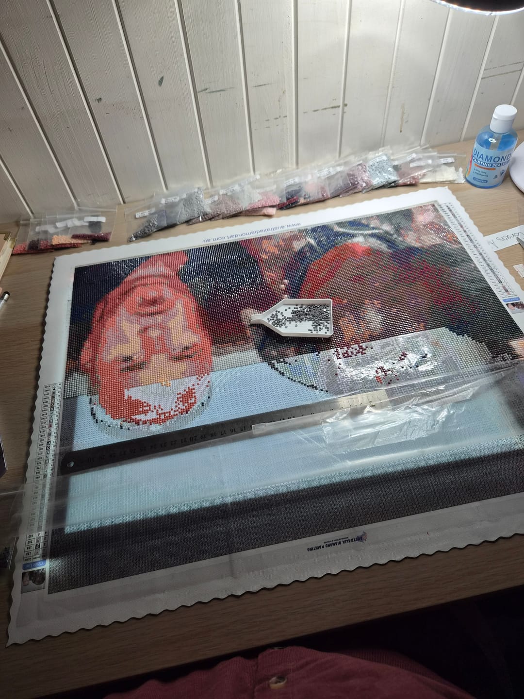 Customer photo review of Custom Diamond Painting