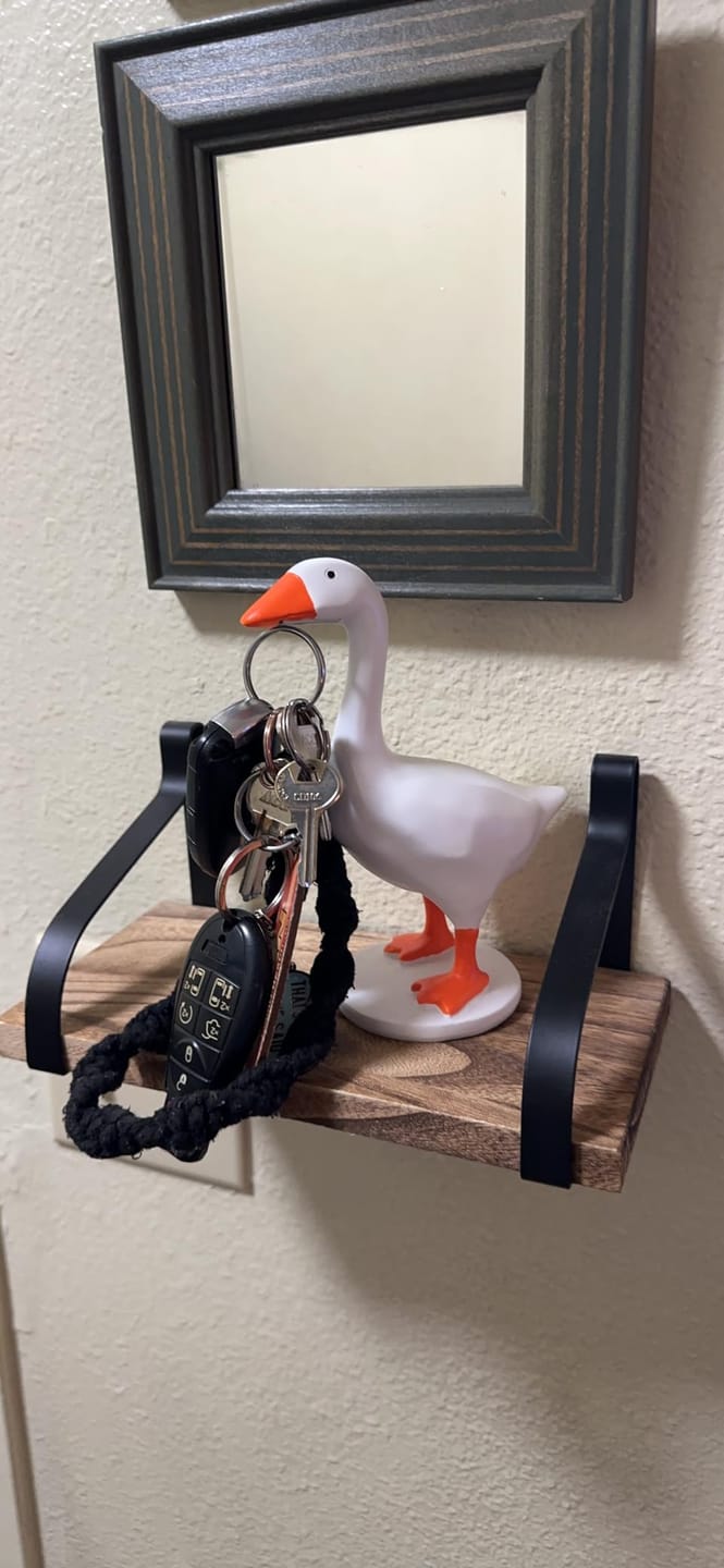 Customer photo review of Creative Magnet Goose Duck Hey Holder