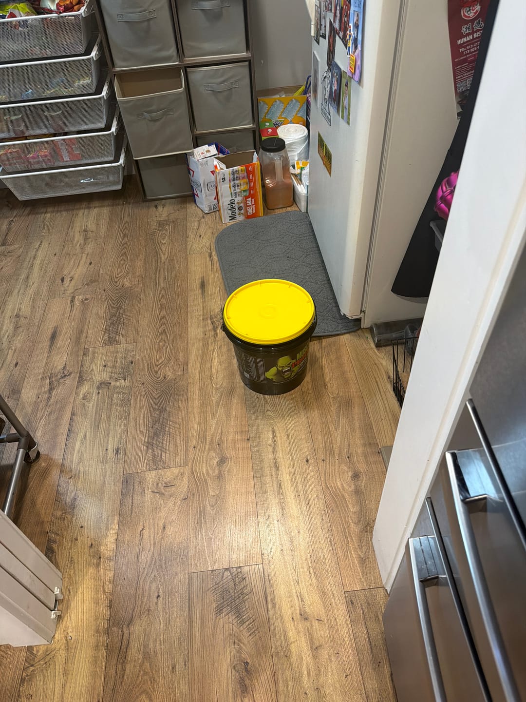 Customer photo review of Whey Protein Powder Bucket