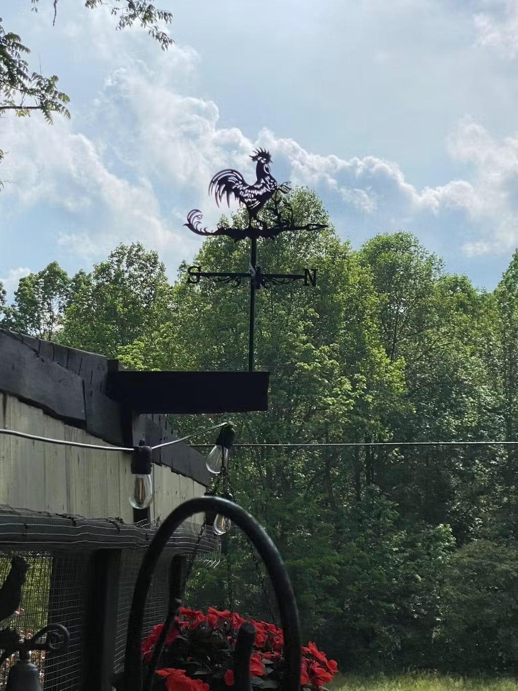 Customer photo review of Weather Vane - Rooster