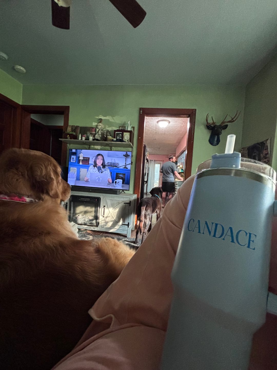 Customer photo review of Stop Anticandacism Cup