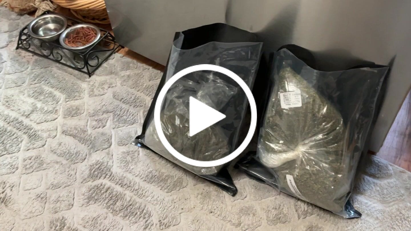 Customer video review of No1. LA Pop Rock THCa Shake (Wholesale)