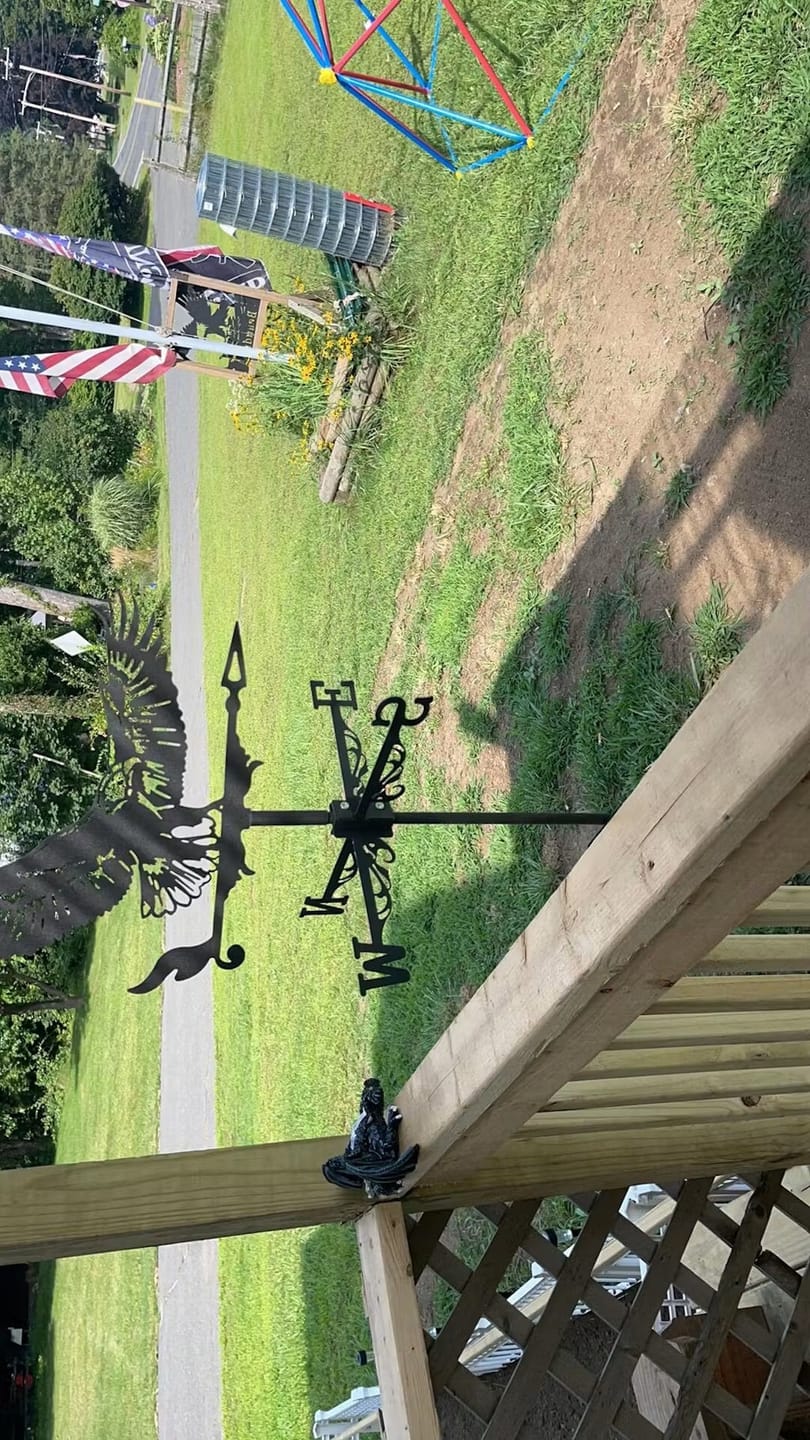 Customer photo review of Weather Vane - Flying Eagle