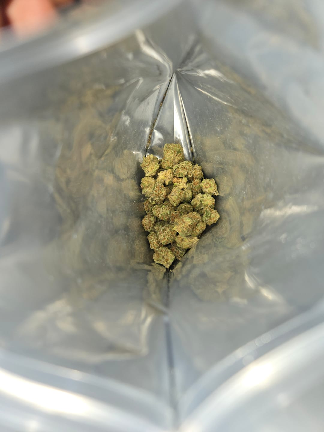 Customer photo review of Animal Mintz Indoor THCA Mediums