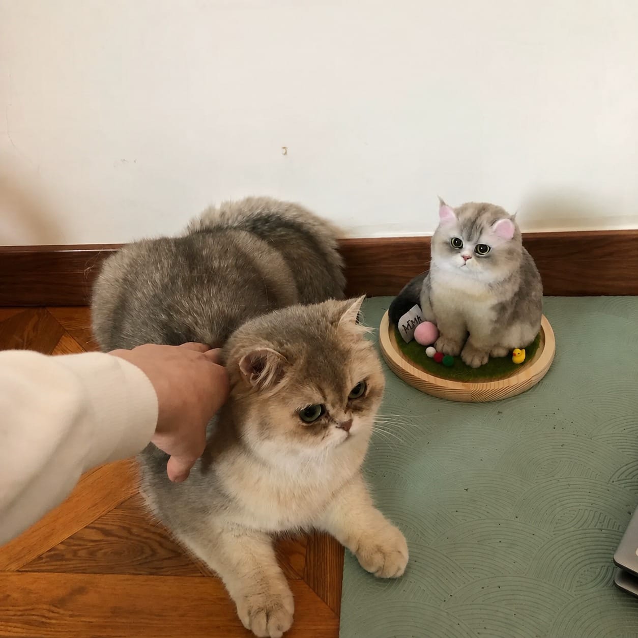 Customer photo review of Handmade Pet Felt Clones
