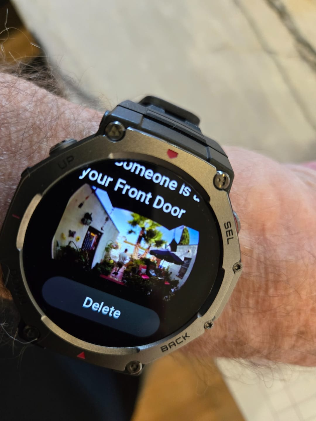 Customer photo review of T-Rex 3