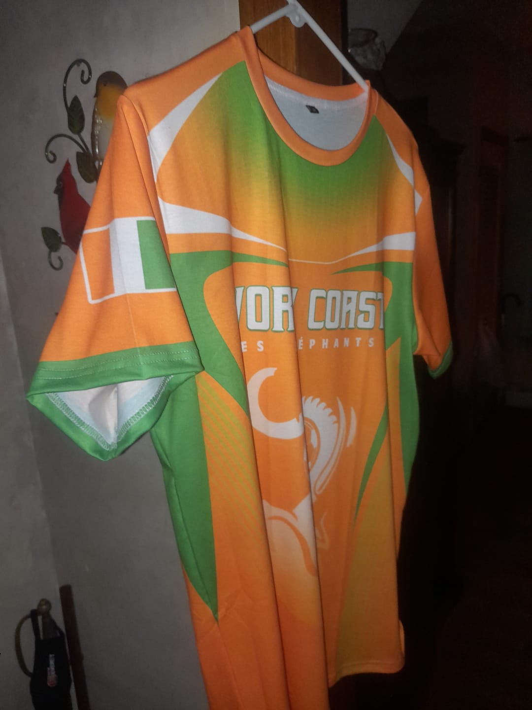 Customer photo review of Custom Ivory Coast Football 2026 T shirt Go Les Elephants LT05