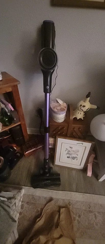 Customer photo review of Brizelle PureVac Pro