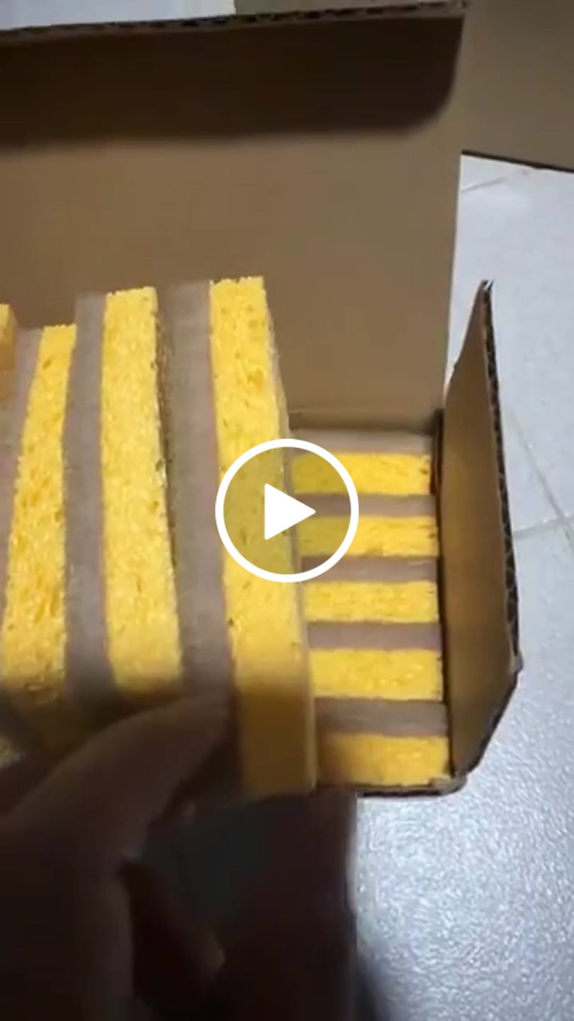 Customer video review of Plant Derived Sponges