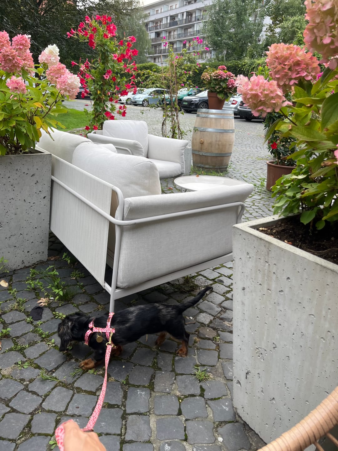 Customer photo review of Szelki guard "Pink Terrazzo" - złote okucia