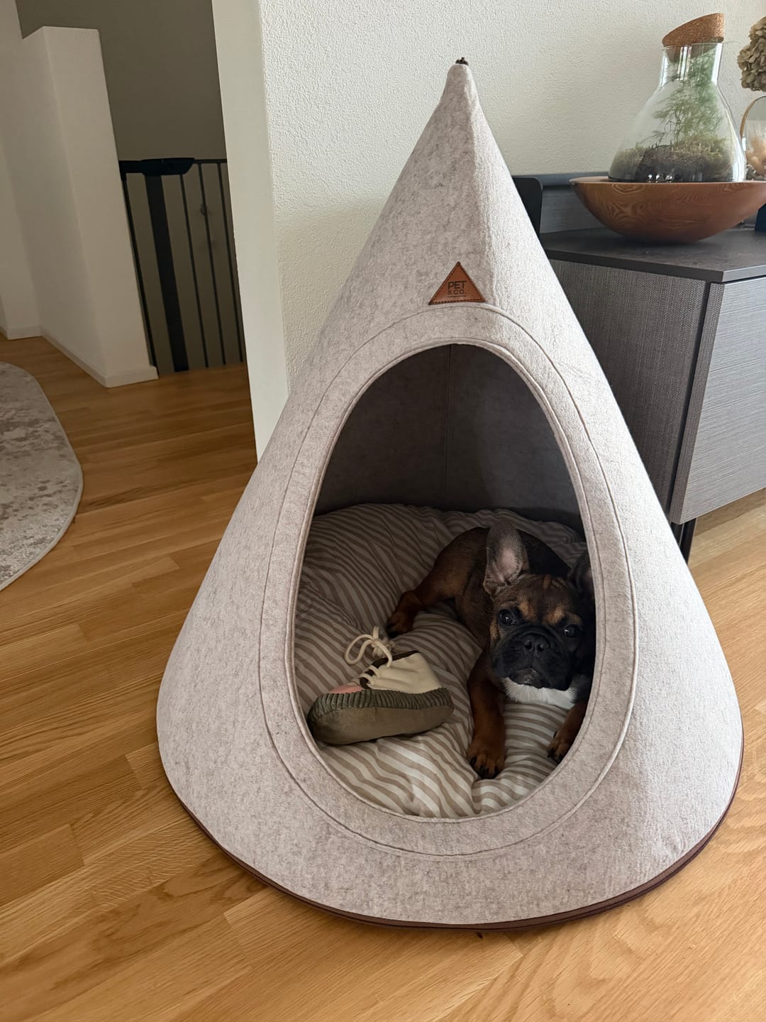 Customer photo review of Tonto - Luxury Dog Tipi