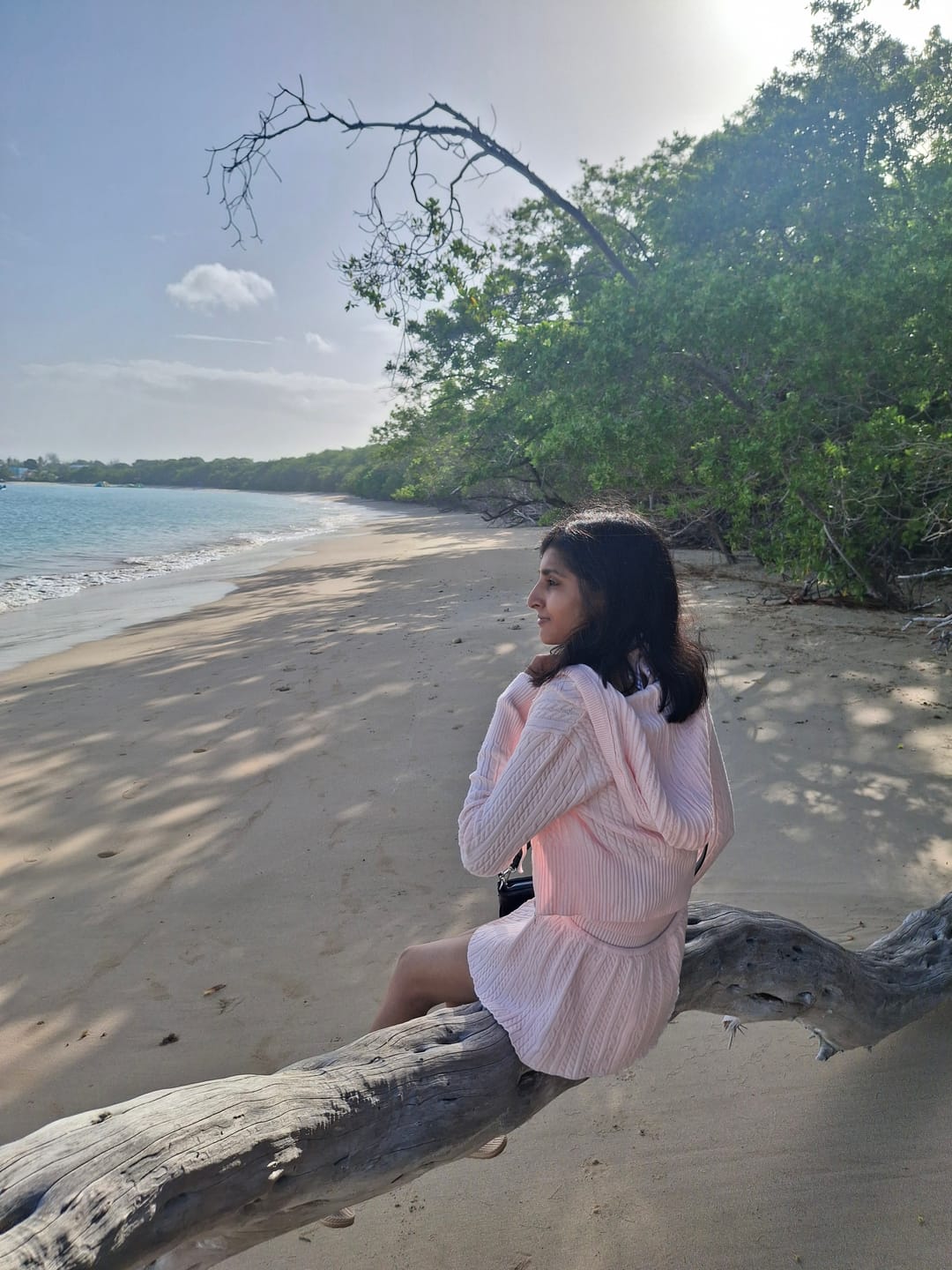 Customer photo review of Strawberry Milk Cable Knit Zip up Cardigan (Pink)