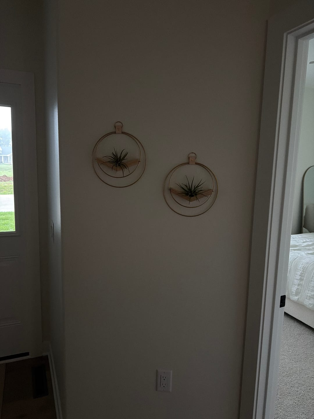 Customer photo review of Air Plant V-Hanger