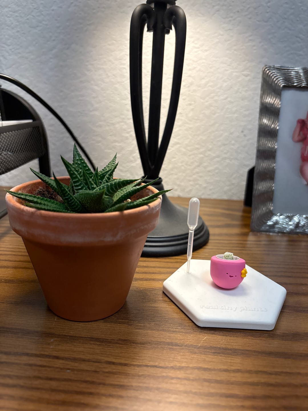 Customer photo review of Flower Power