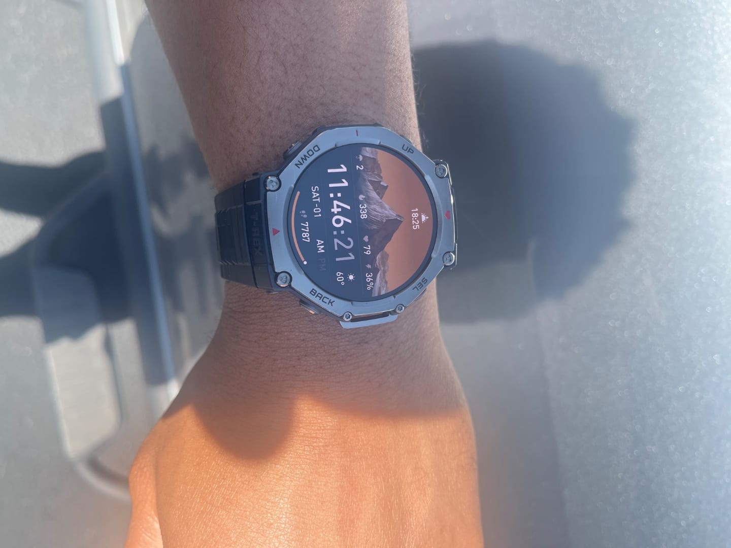 Customer photo review of T-Rex 3