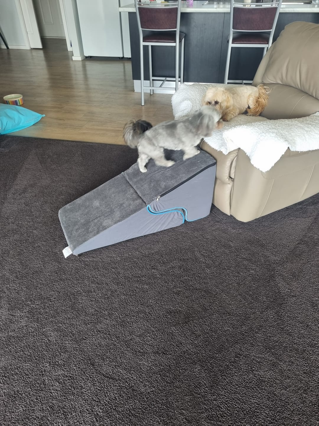 Customer photo review of Dog Steps Adjustable 3-Steps Dog Ramp Portable Pet 2-in-1 Stairs Bed Sofa