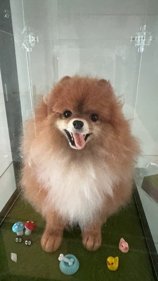 Customer photo review of Handmade Pet Felt Clones
