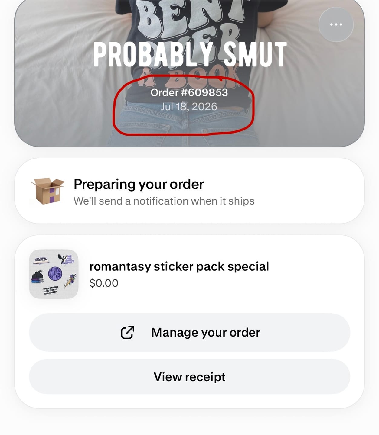 Customer photo review of romantasy sticker pack