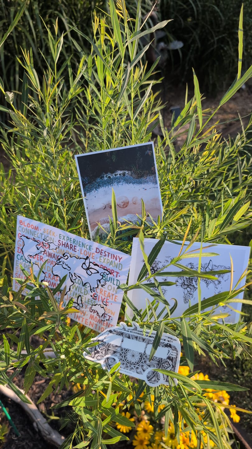Customer photo review of LiveForLetters August
