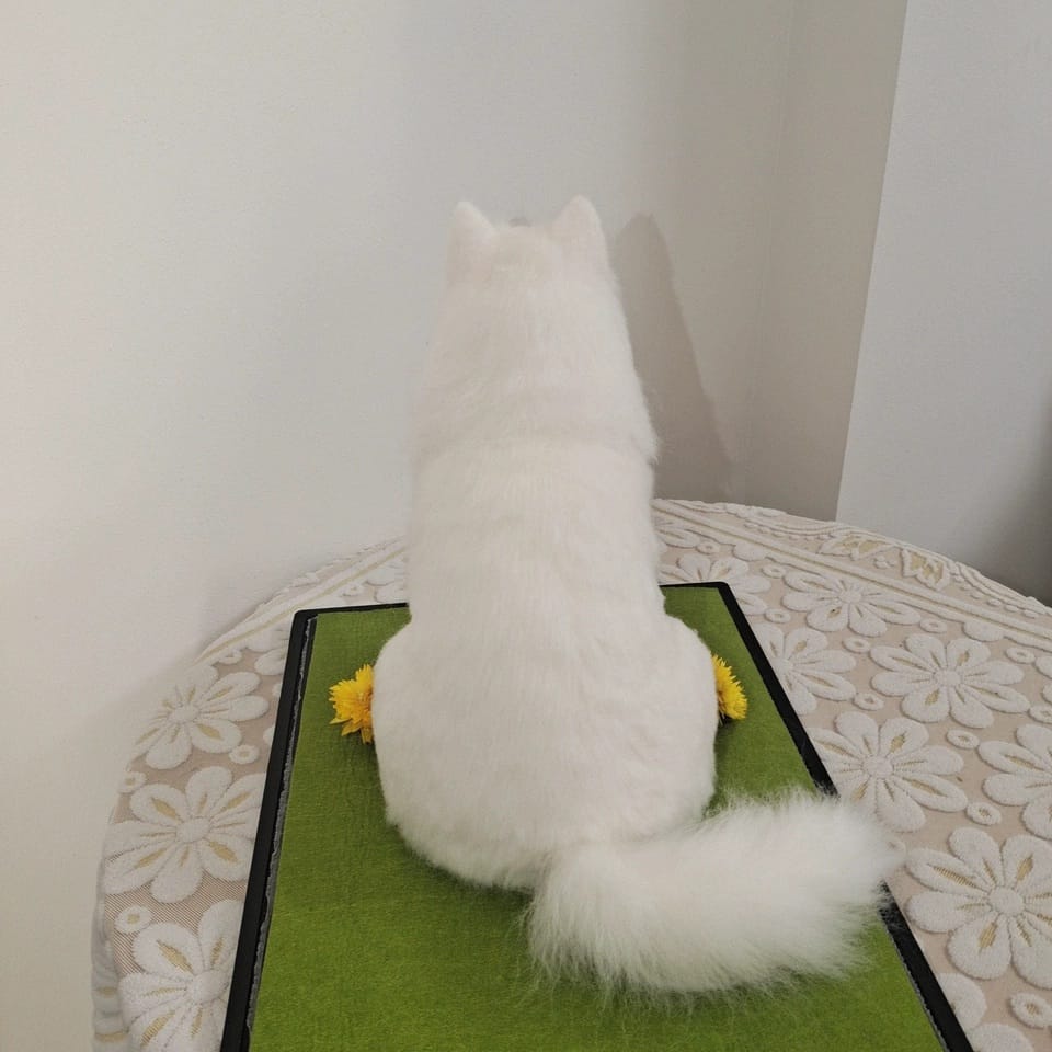 Customer photo review of Handmade Pet Felt Clones