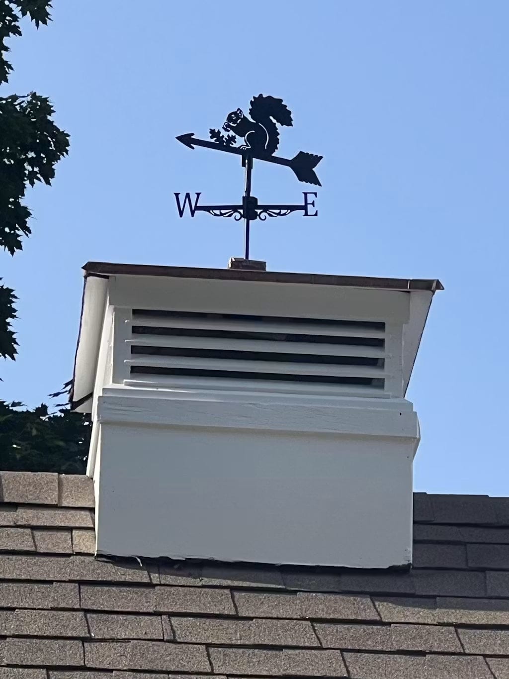 Customer photo review of Weather Vane - Squirrel