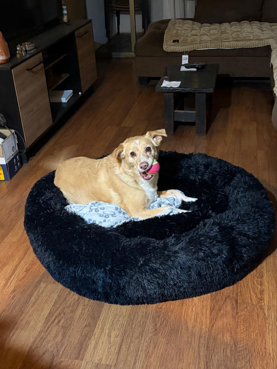 Customer photo review of Cama Anti-Estrés THE DOGS — Menos ansiedad, más descanso