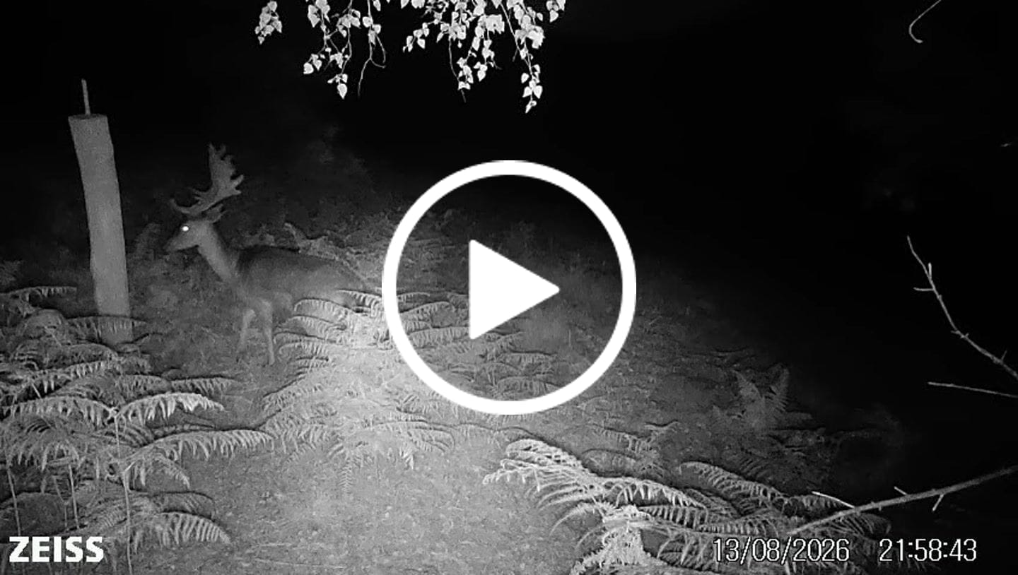 Customer video review of Salzspray Apfel - Lockmittel Rehwild, Schwarzwild, Rotwild und Damwild