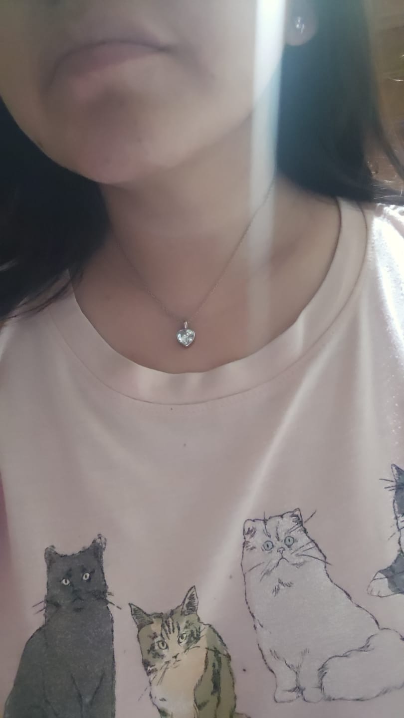 Customer photo review of Collar Amour Plata + Zirconia