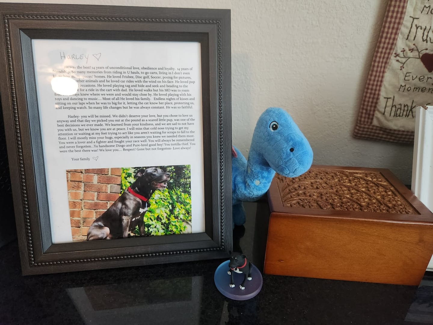 Customer photo review of Custom 3D Action Figure: Personalized 3D Figurine from Photo